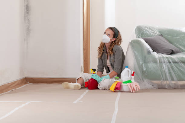 Reliable Mold Remediation contractor in Sunbury, NC by WQB Mold Removal